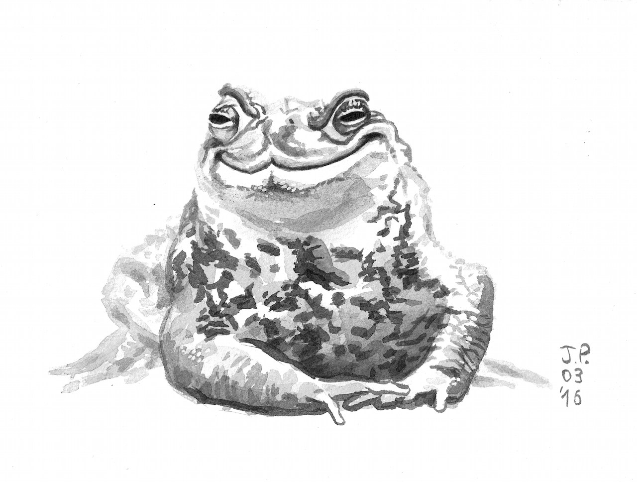 Kröte (lat. Bufo), wie sie sich in den ECON-Bericht zur IORP-II-RL eingeschlichen hat.